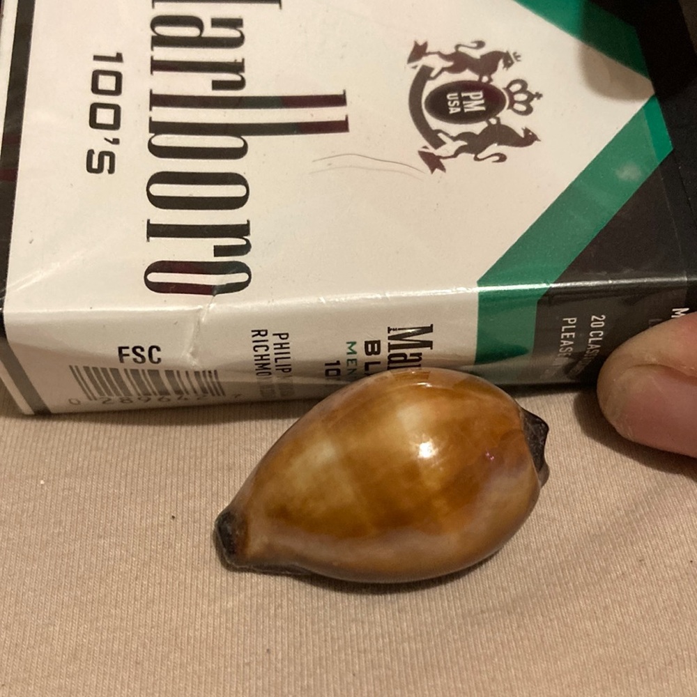 She’ll rare polished